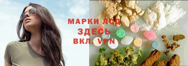 индика Алексеевка