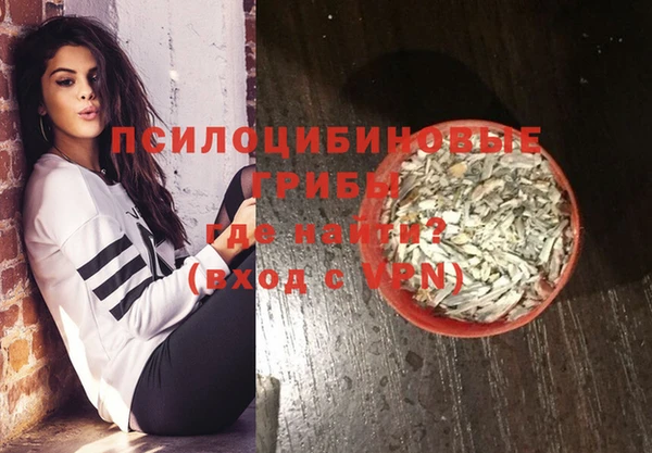 шишки Алзамай