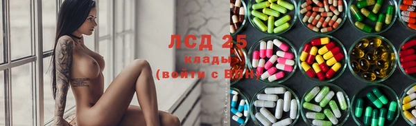 шишки Алзамай