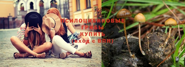 индика Алексеевка