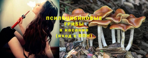 метамфетамин Покачи