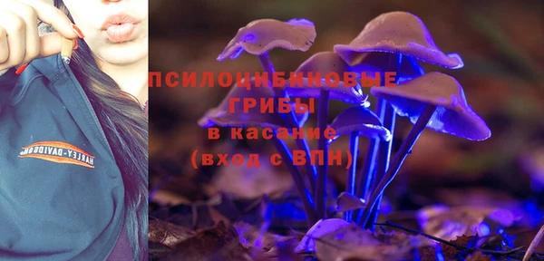 шишки Алзамай